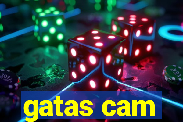 gatas cam